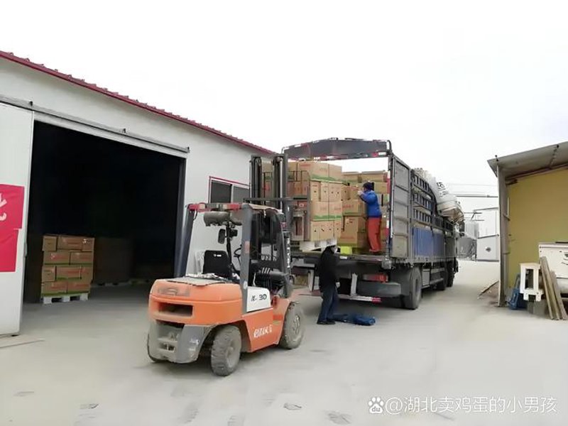 办公用品选购指南：提高工作效率的小秘密
